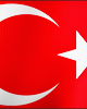 Flag 5