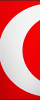 Flag 4