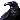 Quoth The Raven, Nevermore.