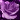 Devine Rose