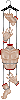 Coroners Cut