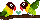 Love Birds