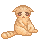 Sad Kitty Is Sad