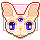 Sphynx Cat