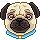 Happy Pug