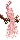 Pink Peacock