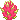 Dragon Fruit