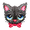 Black Cute Cat!