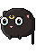 Luna Cat!