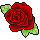 Red Roses! (left)