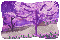 Purple fall.