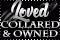 Loved Collared & owned