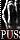 report2