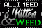 Kitten&Weed
