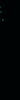 Animated Equalizer Teal