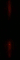 Music Visualizer 1