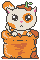 POTTED KITTEN