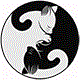gatos yin yan 1