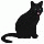 my black cat 2 14-2-18