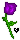 Violet Rose