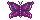 Violet Butterfly