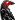 Crow