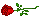 Rosee1