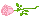 Black Rose v