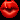 blank badge 2 2013-07-17 14:35:21