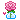 Beauteous Boquet