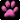 Kitten Paw 2