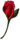 rosebud