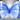 EW Badge