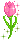 Peace Lilly