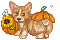 CorgiButt