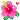 LiLs Hibiscus