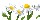 Vintage Daisy Crown