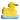 What The Duck???